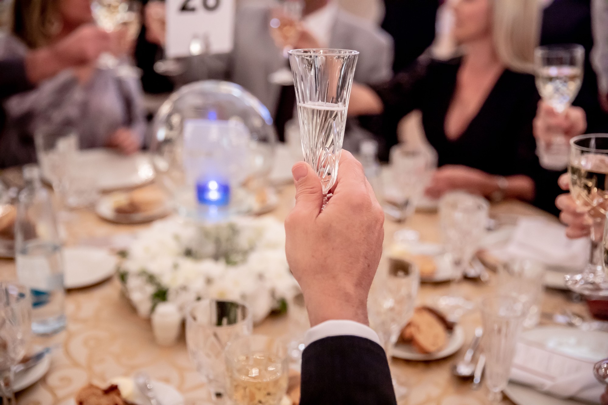 Guests raising glasses at a gala dinner